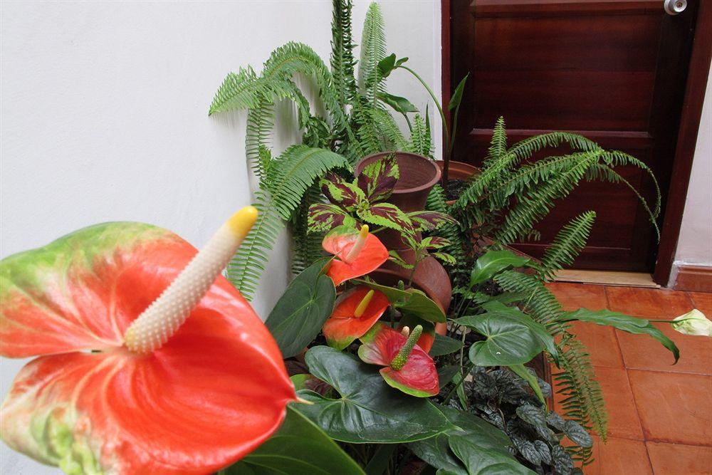 Hotel Frances La Maison Pasto Eksteriør billede
